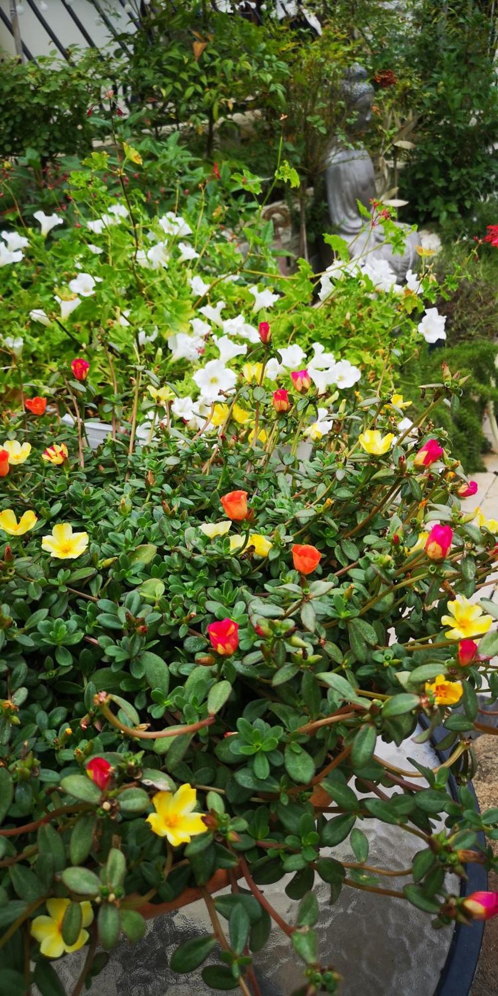 L'Empire D'Essences Appartement Valréas Dış mekan fotoğraf